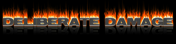 [DELIBERATE DAMAGE]